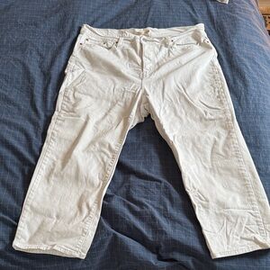 PLUS SIZE Levi's Women's Straight Leg Jeans - Cream